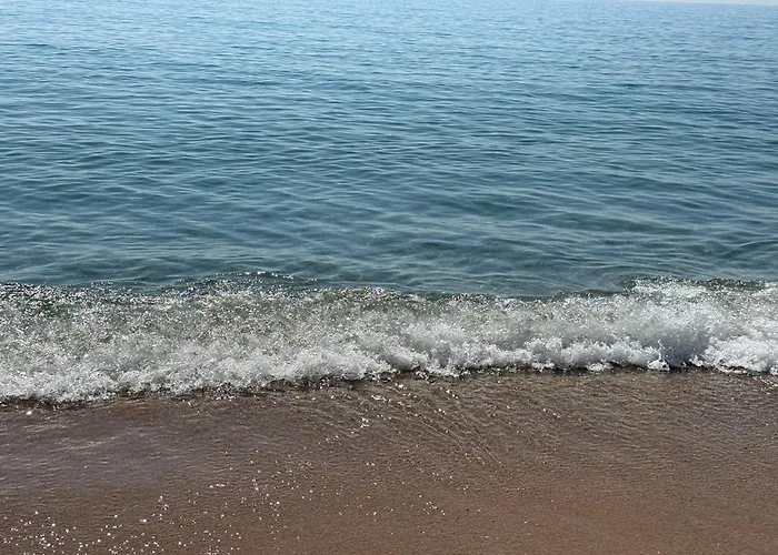 Apartamento Golden Lemon Varna